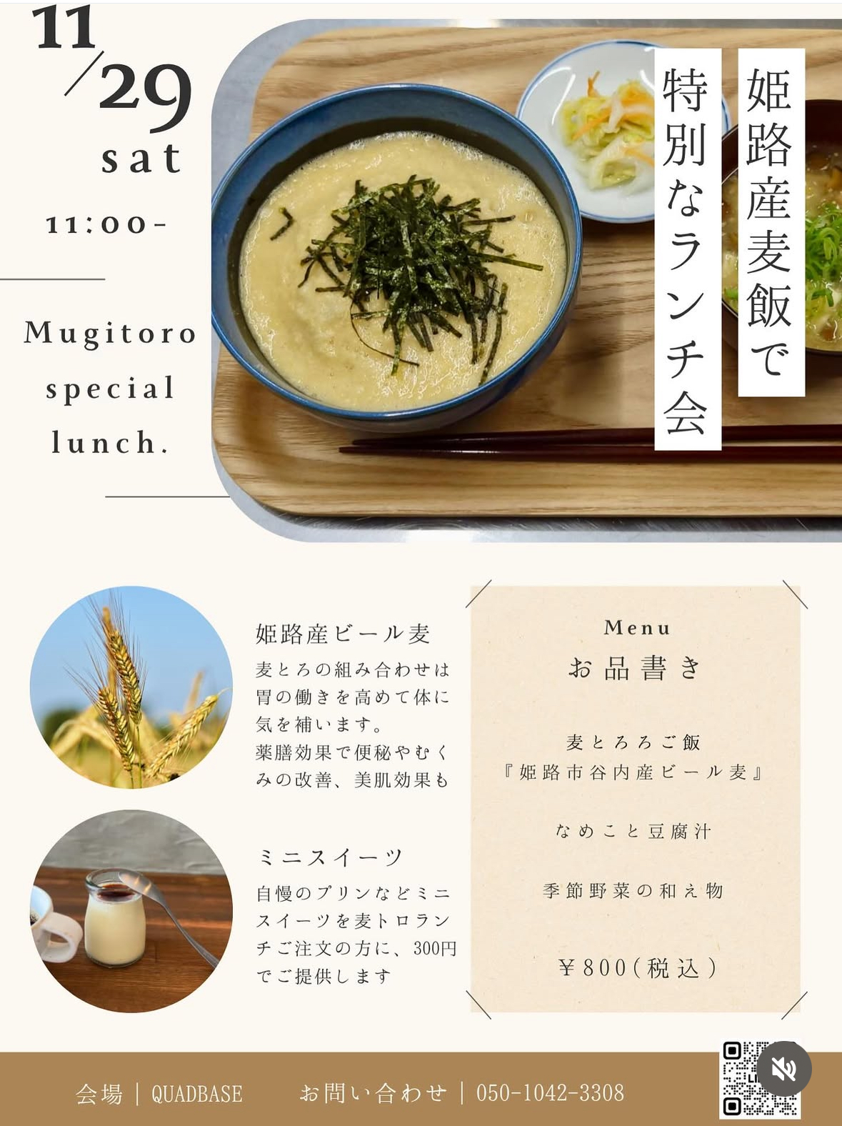 姫路産麦とろランチ